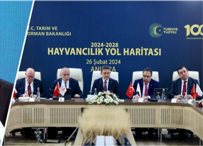 HAYVANCILIK'DA 2024-2028 YILLARINDA UYGULANACAK DESTEKLER AÇIKLADI