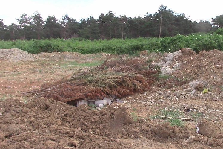  ORMANLARA HAFRİYAT, ÇÖP DÖKMEK 'ORMAN SUÇU' SAYILACAK