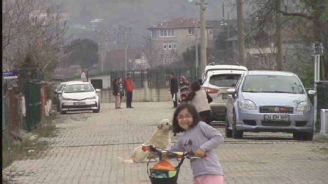 Kocaeli'nin Karadeniz sahilindeki gözde yazlık bölgesi kumcağız'dan video görüntüleri